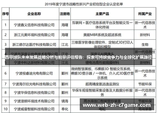 西甲球队未来发展战略分析与前景评估报告：探索可持续竞争力与全球化扩展路径