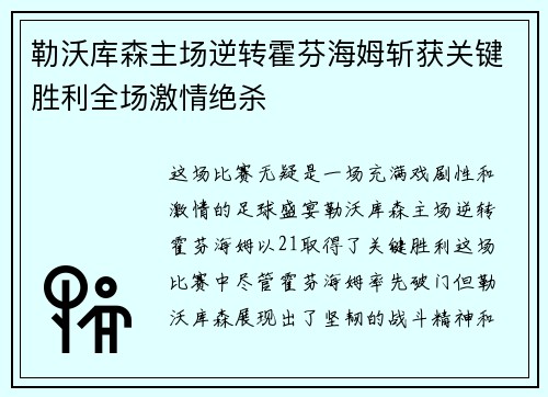 勒沃库森主场逆转霍芬海姆斩获关键胜利全场激情绝杀